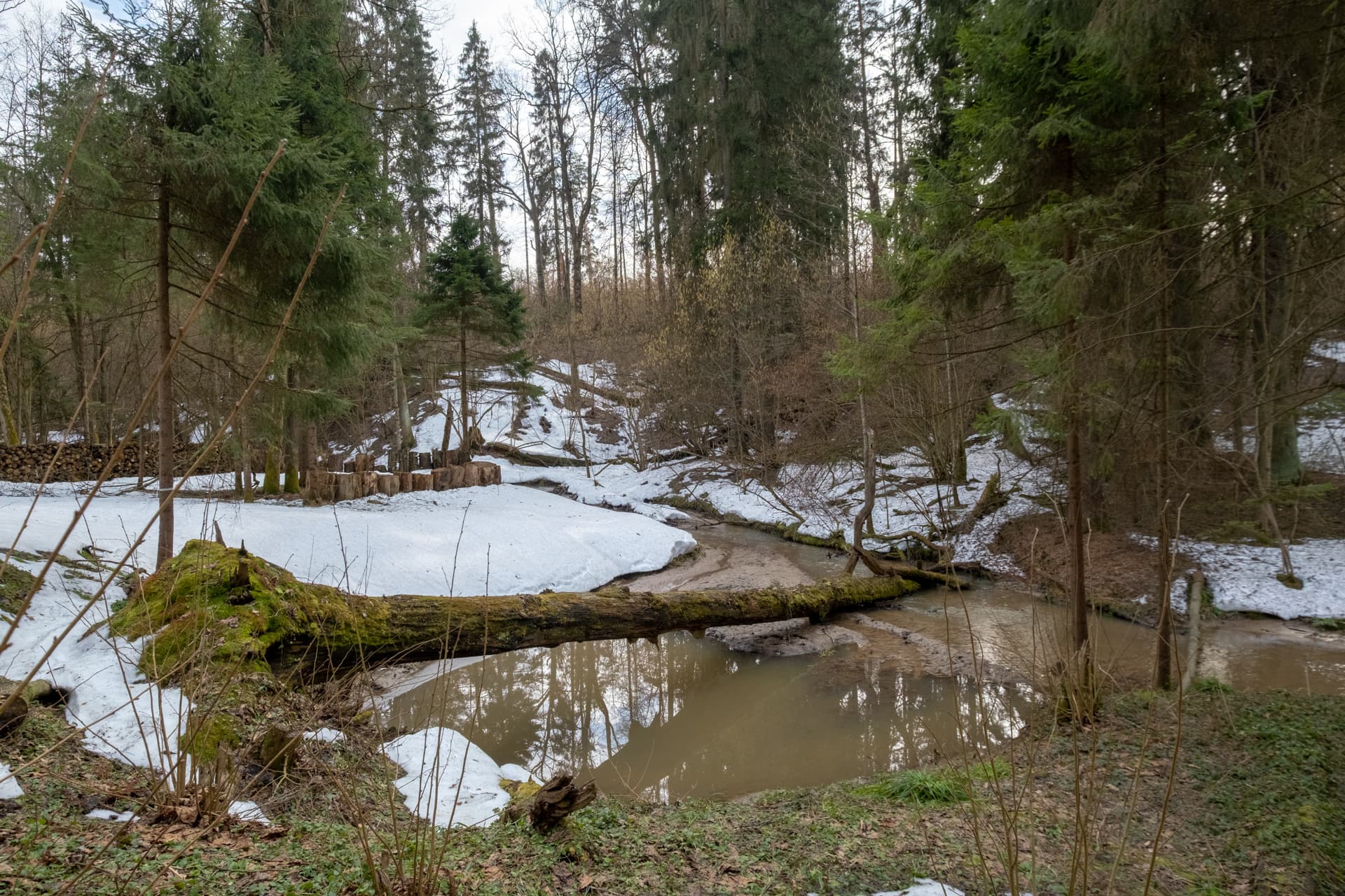 Ваш лес и река - фото 4