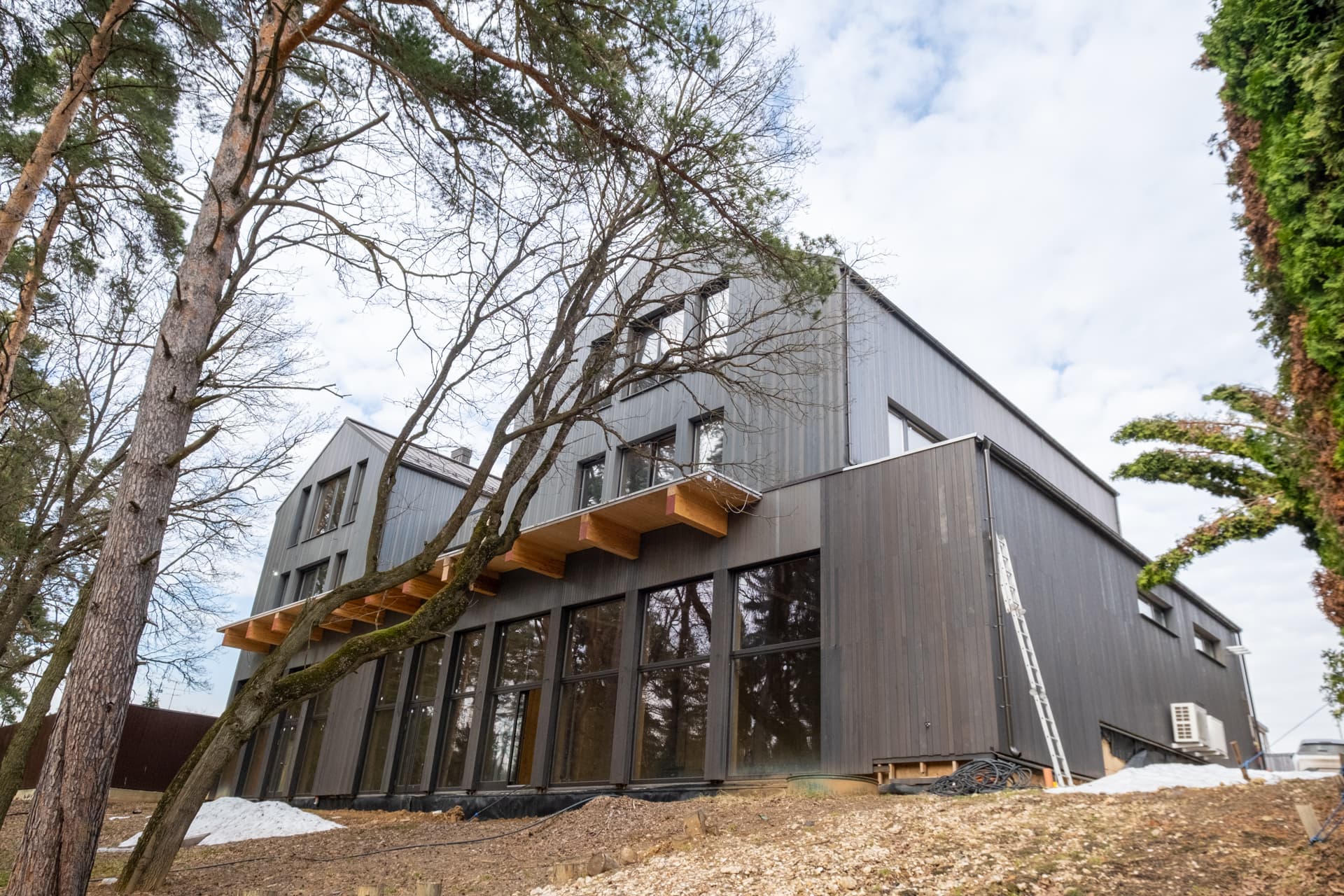 Ваш лес и река - фото 1