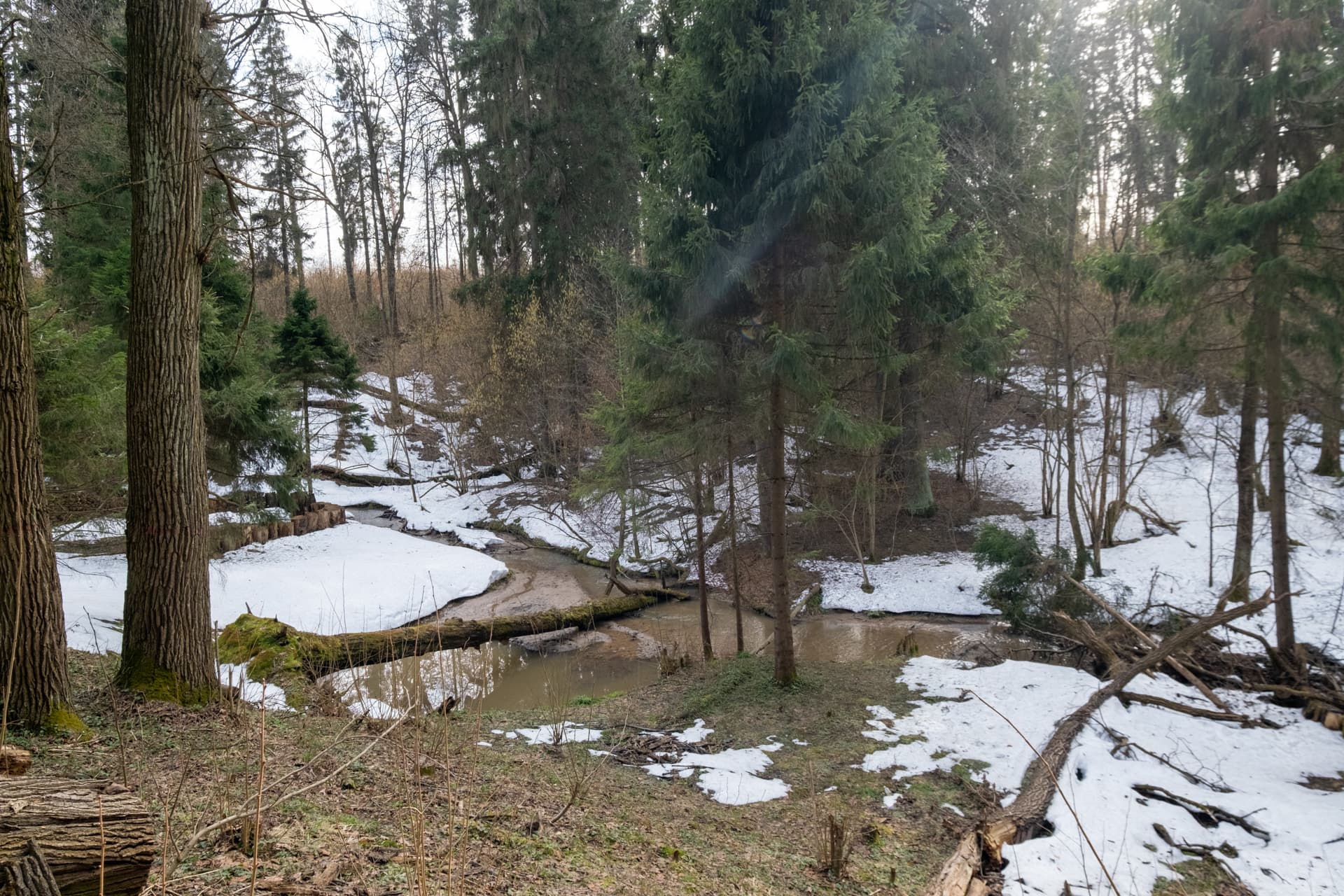 Ваш лес и река - фото 7